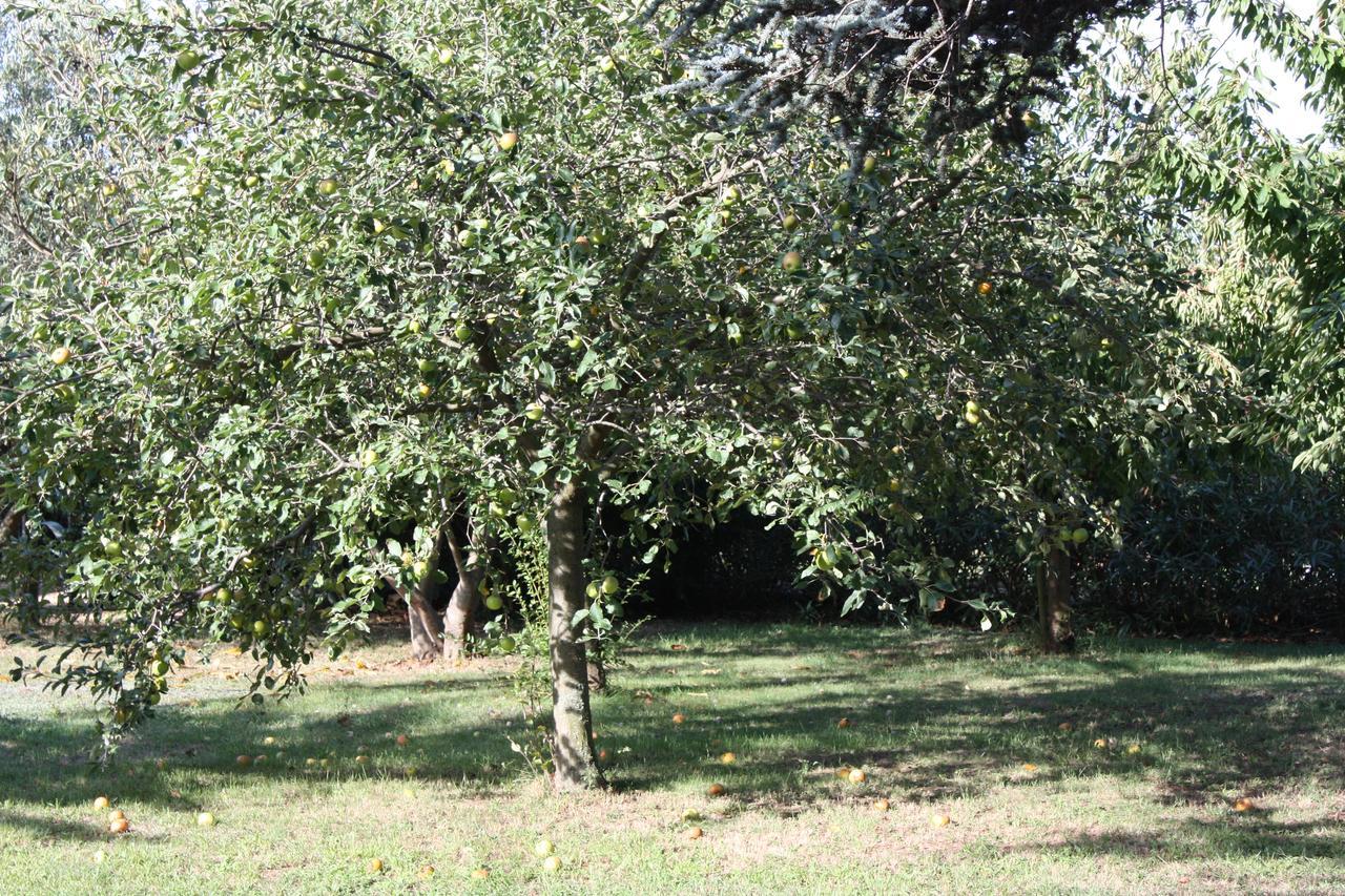La Villa Blanc (Adults Only) Conques-sur-Orbiel Eksteriør billede